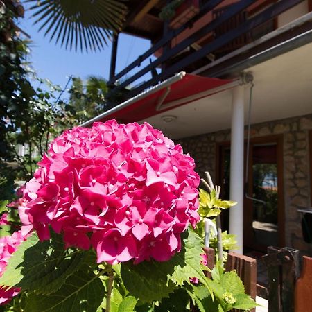 Apartment Paulina Црес Екстер'єр фото